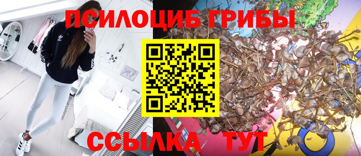 Псилоцибиновые грибы Magic Shrooms Павловский Посад