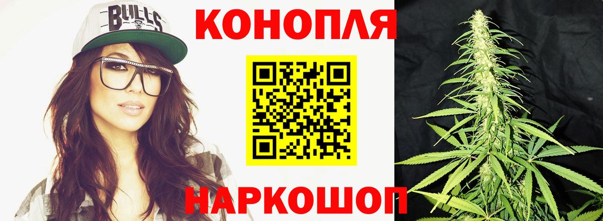Канабис планчик Павловский Посад